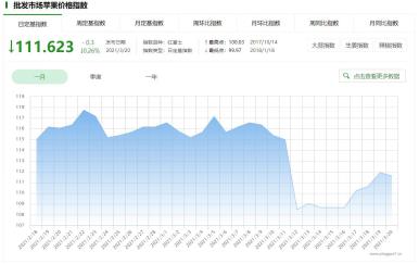 苹果最新报价，市场走势与技术革新共同推动下的市场趋势分析