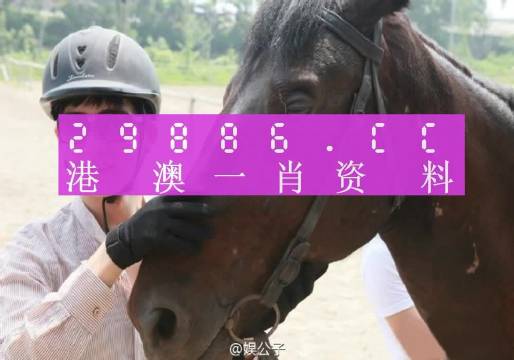 澳门今晚必中一肖一码;全面释义解释落实