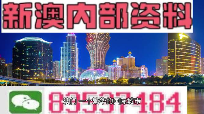 2024新澳正版免费资料的特点,综合研究解释落实