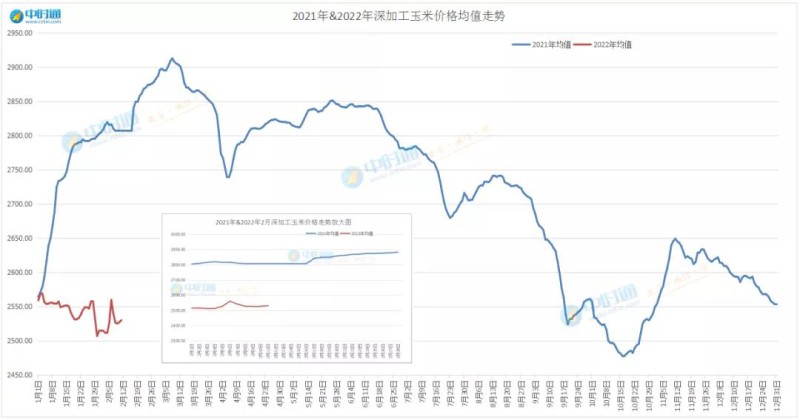 辽宁最新玉米价格动态分析