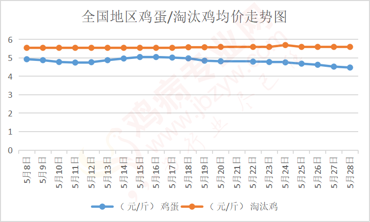 最新鸡蛋价格走势分析