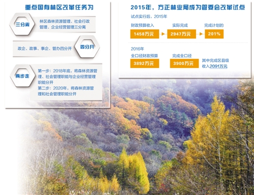 国有林场改革最新消息，深化改革的步伐与未来展望