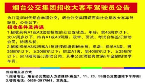 烟台司机最新招聘信息概览