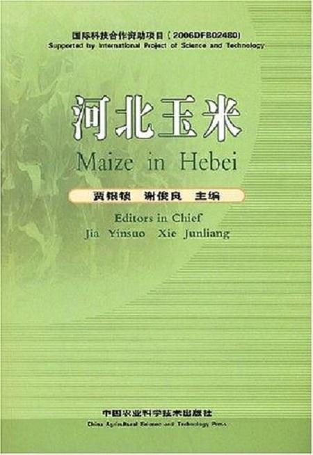 河北玉米最新价格动态分析